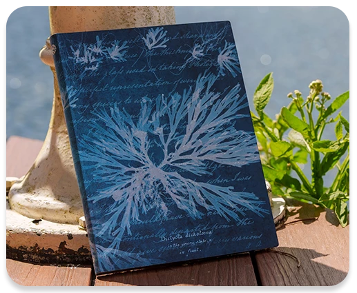 NYPL-themed notebooks.